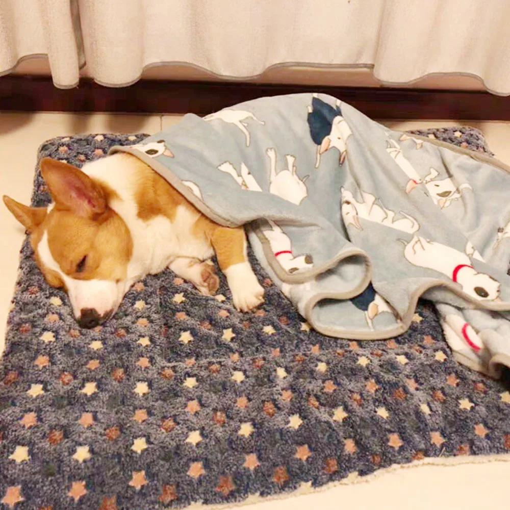 Cama de Gato para perros, manta para la cama, cojn porttil, lavable, para mantener el calor, S/M/L/XL/XXL
Cama de Gato para perros, manta para la cama, cojn porttil, lavable, para mantener el calor, S/M/L/XL/XXL