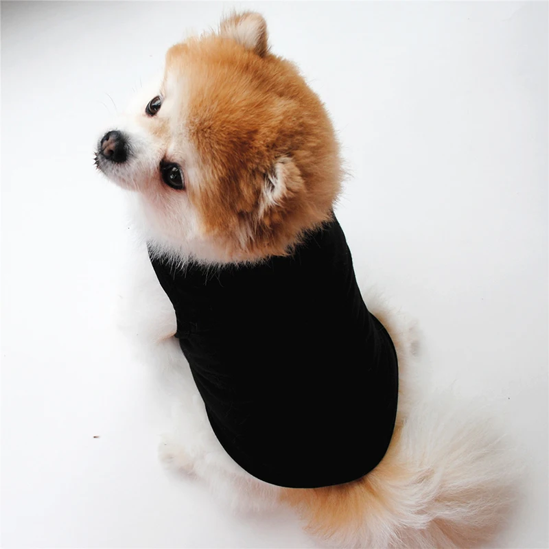 Cat T-shirt Soft Puppy Dogs Clothes Cute Pet Dog Clothes Cartoon Pet Clothing Summer Shirt Casual Vests for Small Pets Clothes
Cat T-shirt Soft Puppy Dogs Clothes Cute Pet Dog Clothes Cartoon Pet Clothing Summer Shirt Casual Vests for Small Pets Clothes
