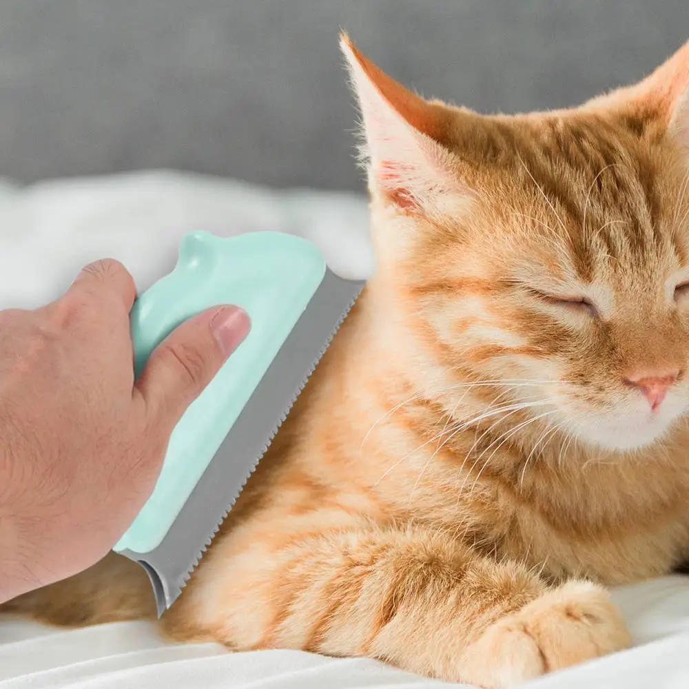 Washable Dust Removal Brush Pets Dog Cat Hair Remover Brush Carpet Cleaning Brush Sofa Clothes Convenient Cleaning Lint Brush
Washable Dust Removal Brush Pets Dog Cat Hair Remover Brush Carpet Cleaning Brush Sofa Clothes Convenient Cleaning Lint Brush