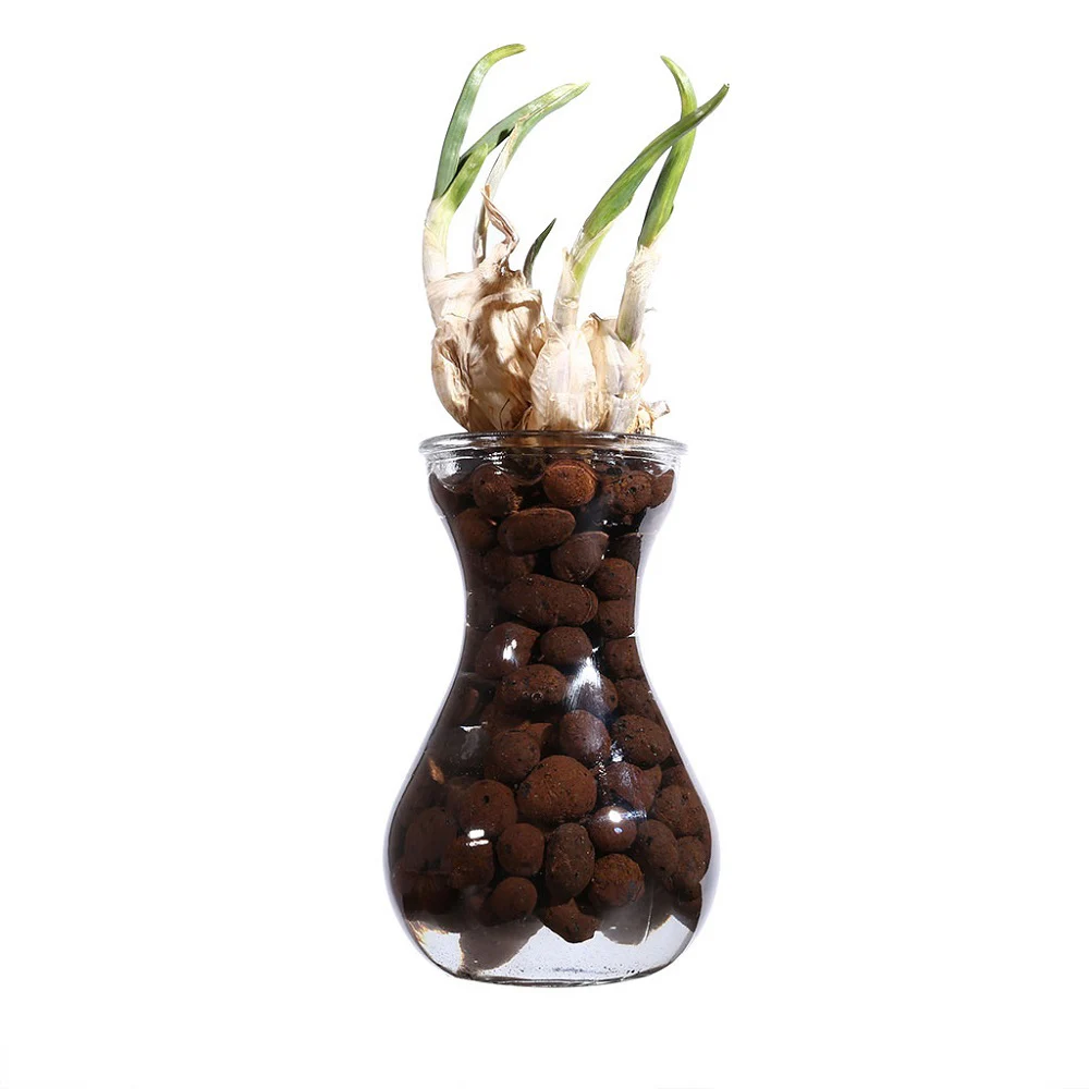 Органическая широкая глиняная галька 100 г средство для выращивания орхидеи