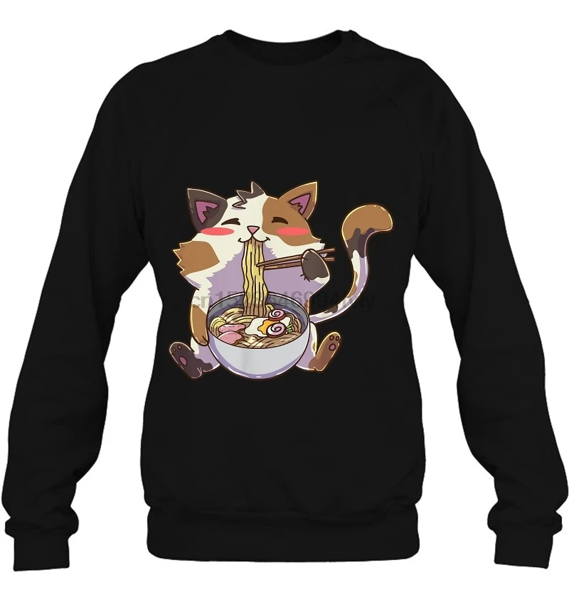 Мужская толстовка Kawaii Neko Cat Ra для мужчин Version2 женская уличная одежда|Мужские