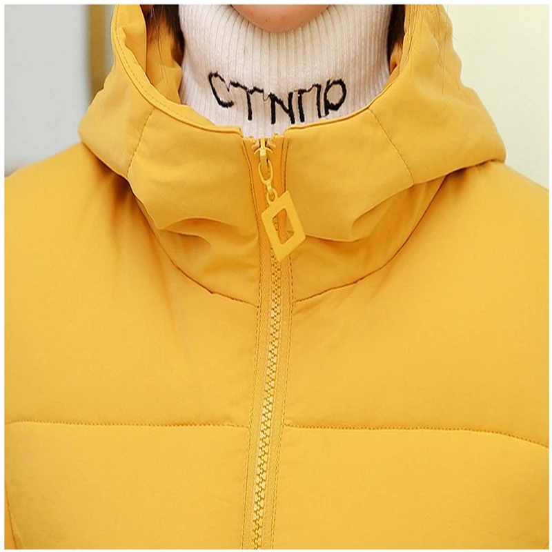 New Fashion Hooded Winter Jacket Women 2019 Solid Warm Thicke Outerwear Women's Overcoat Padded Parkas jaqueta feminina YT50146
New Fashion Hooded Winter Jacket Women 2019 Solid Warm Thicke Outerwear Women's Overcoat Padded Parkas jaqueta feminina YT50146