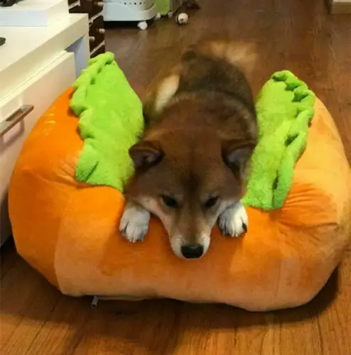 Funny Hot Dog Bed Winter Warm Pet House Creative Fashion Sofa Cushion Supplies Puppy Cat Soft Sleeping Mat Cozy Dogs Nest Kennel
Funny Hot Dog Bed Winter Warm Pet House Creative Fashion Sofa Cushion Supplies Puppy Cat Soft Sleeping Mat Cozy Dogs Nest Kennel