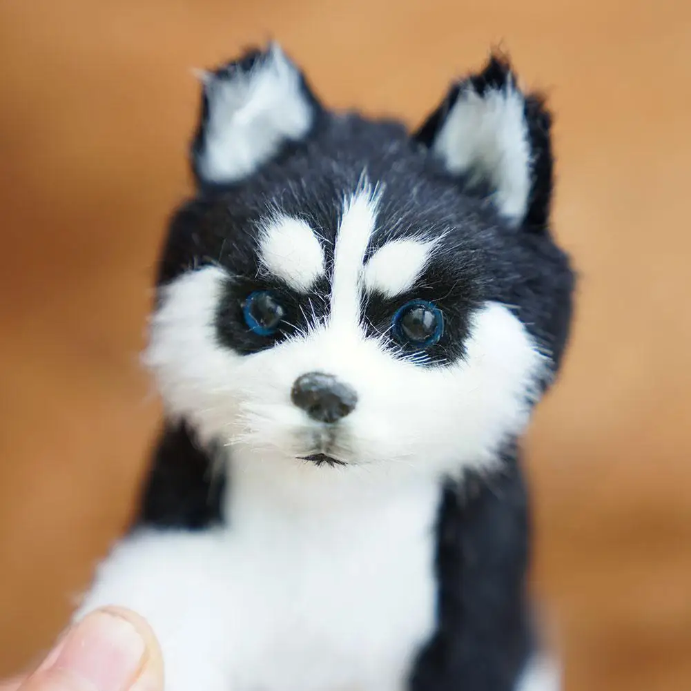 1Pc Husky Simulation Toy Animal Model Cute Plush Toy Realistic Gift Husky Child Decoration Pet Toy U9X4
1Pc Husky Simulation Toy Animal Model Cute Plush Toy Realistic Gift Husky Child Decoration Pet Toy U9X4