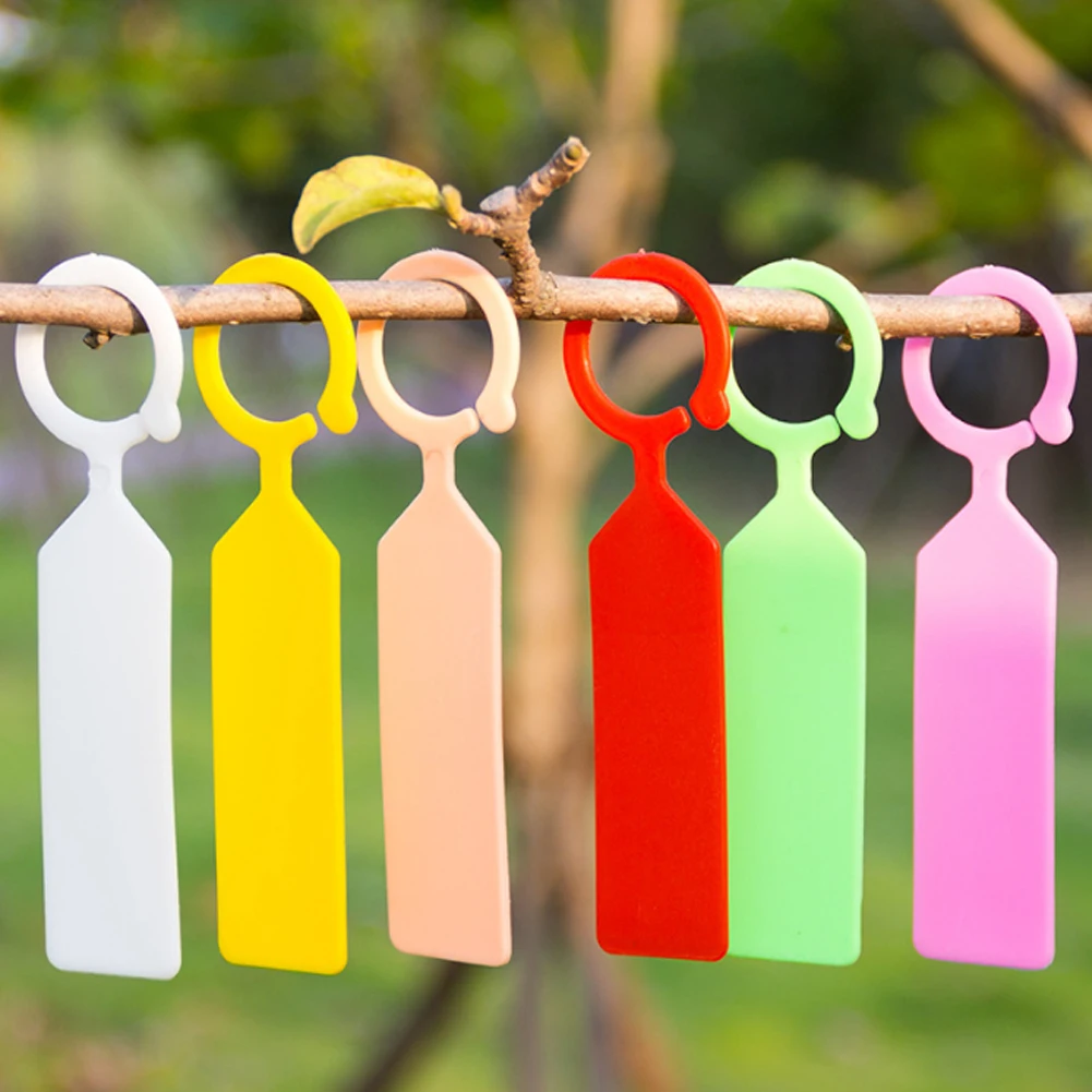 100PCS Ring Plastic Hanging Labels Garden Plant Pot Markers Reusable Waterproof Thick Hook Tree Tags Decoration Tool
100PCS Ring Plastic Hanging Labels Garden Plant Pot Markers Reusable Waterproof Thick Hook Tree Tags Decoration Tool
