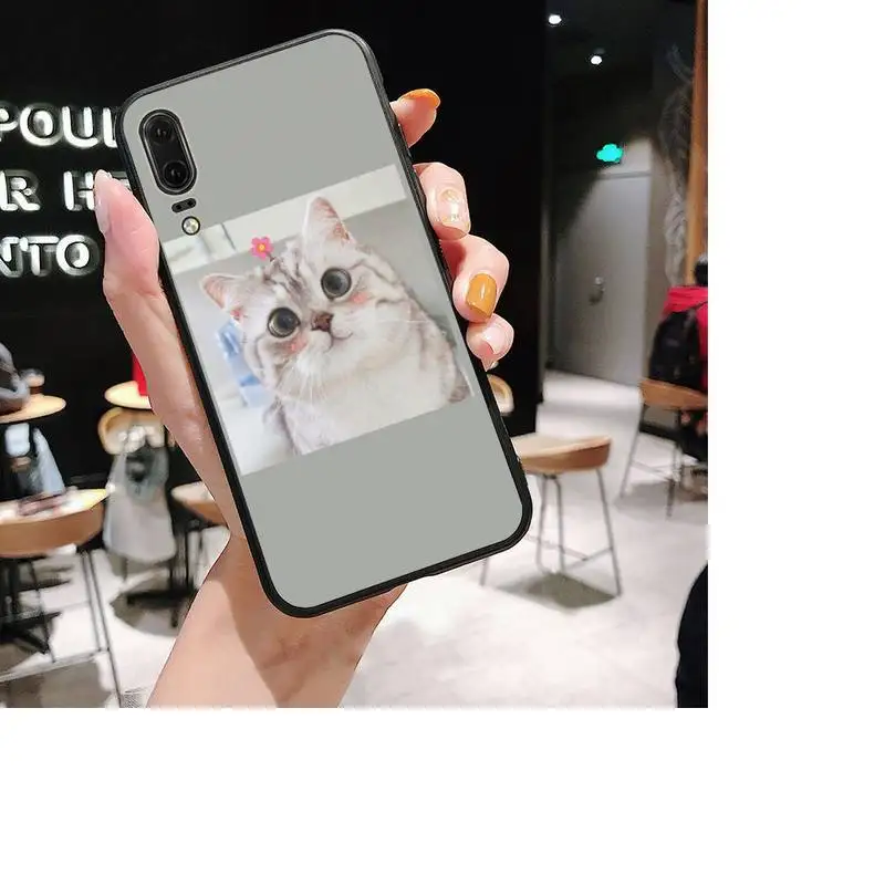 Cute Funny Funny Kitten Cat Phone Case For Huawei P20 P30 P9 P10 plus P8 lite P9 lite Psmart 2019 P20 pro P10 lite
Cute Funny Funny Kitten Cat Phone Case For Huawei P20 P30 P9 P10 plus P8 lite P9 lite Psmart 2019 P20 pro P10 lite