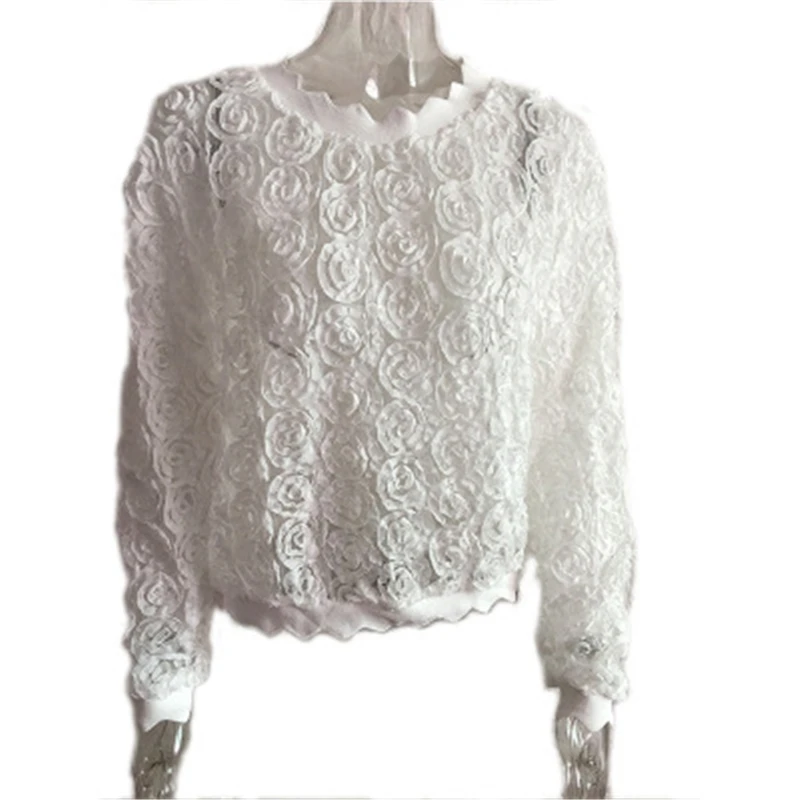 2020 New Autumn And Winter Ladies Pullover Shirt Fashion Round neck Applique Gauze Streetwear Long sleeve High Quality Women Top 
2020 New Autumn And Winter Ladies Pullover Shirt Fashion Round neck Applique Gauze Streetwear Long sleeve High Quality Women Top