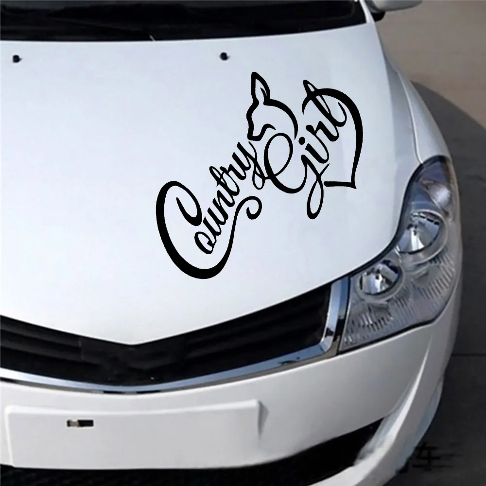 Creative Funny Text Stickers For Cars Cover Scratches Cartoon Window Decal For Motorcycle Vw Bmw E46 Ford Focus
Creative Funny Text Stickers For Cars Cover Scratches Cartoon Window Decal For Motorcycle Vw Bmw E46 Ford Focus