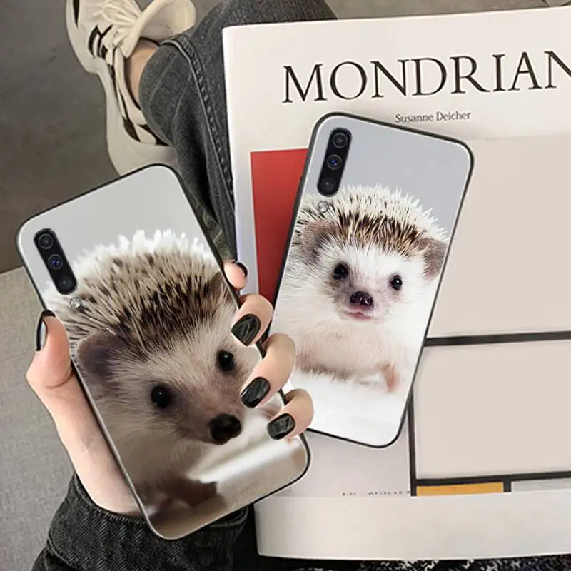 Cute little hedgehog Phone Case For Samsung Galaxy M10 20 30 A 40 50 70 71 6S A2 A6 A9 2018 J7 CORE PLUS STAR S10 5G C8
Cute little hedgehog Phone Case For Samsung Galaxy M10 20 30 A 40 50 70 71 6S A2 A6 A9 2018 J7 CORE PLUS STAR S10 5G C8