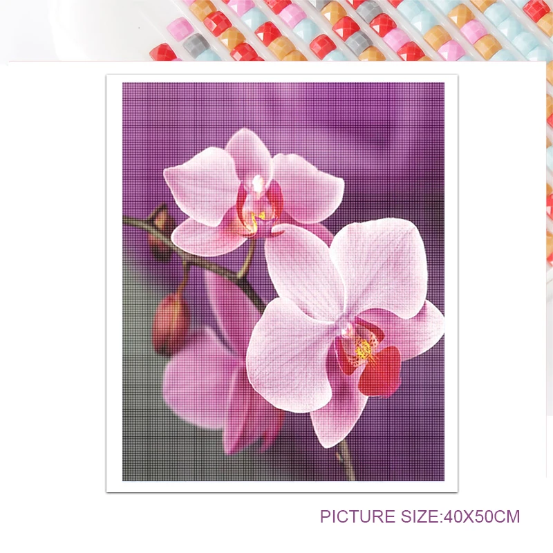 5D DIY Diamond Painting Flower Cluster Flower Decoration Painting Square Round Acrylic Material Bedroom Decoration Handmade Gift
5D DIY Diamond Painting Flower Cluster Flower Decoration Painting Square Round Acrylic Material Bedroom Decoration Handmade Gift