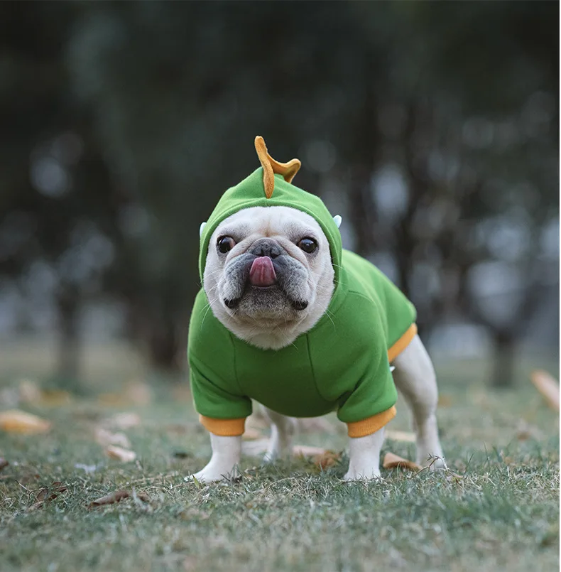 Динозавр плюс бархатная стрейчевая искусственная кожа Шнауцер Тедди драка Бишон корги хлопчатобумажная одежда для домашних питомцев Рожд...
Динозавр плюс бархатная стрейчевая искусственная кожа Шнауцер Тедди драка Бишон корги хлопчатобумажная одежда для домашних питомцев Рожд...