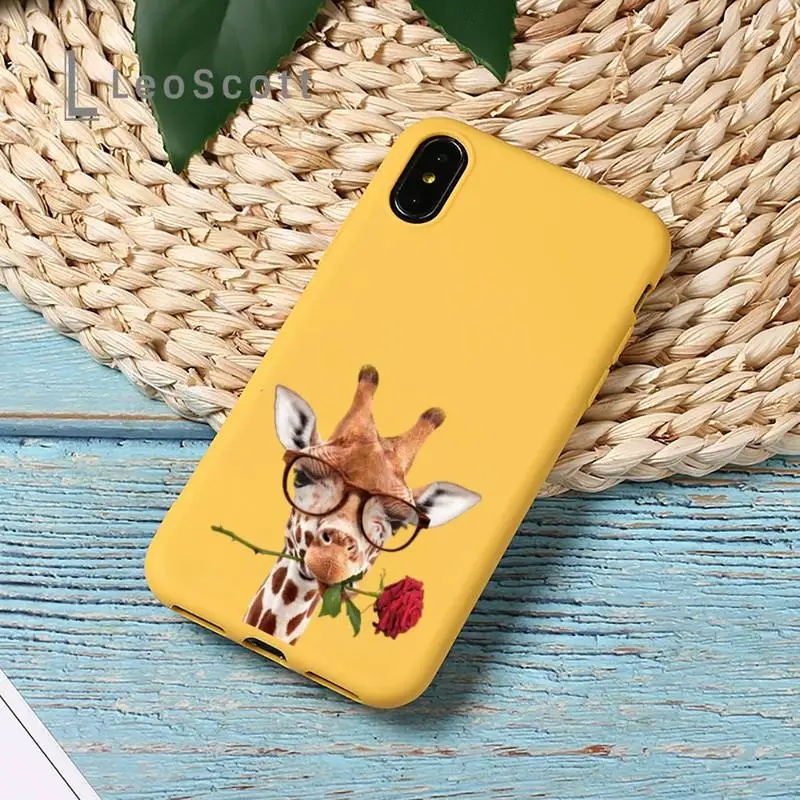 Cartoon giraffe Phone Case Yellow Candy Color for iPhone 11 12 mini pro XS MAX 8 7 6 6S Plus X SE 2020 XR
Cartoon giraffe Phone Case Yellow Candy Color for iPhone 11 12 mini pro XS MAX 8 7 6 6S Plus X SE 2020 XR