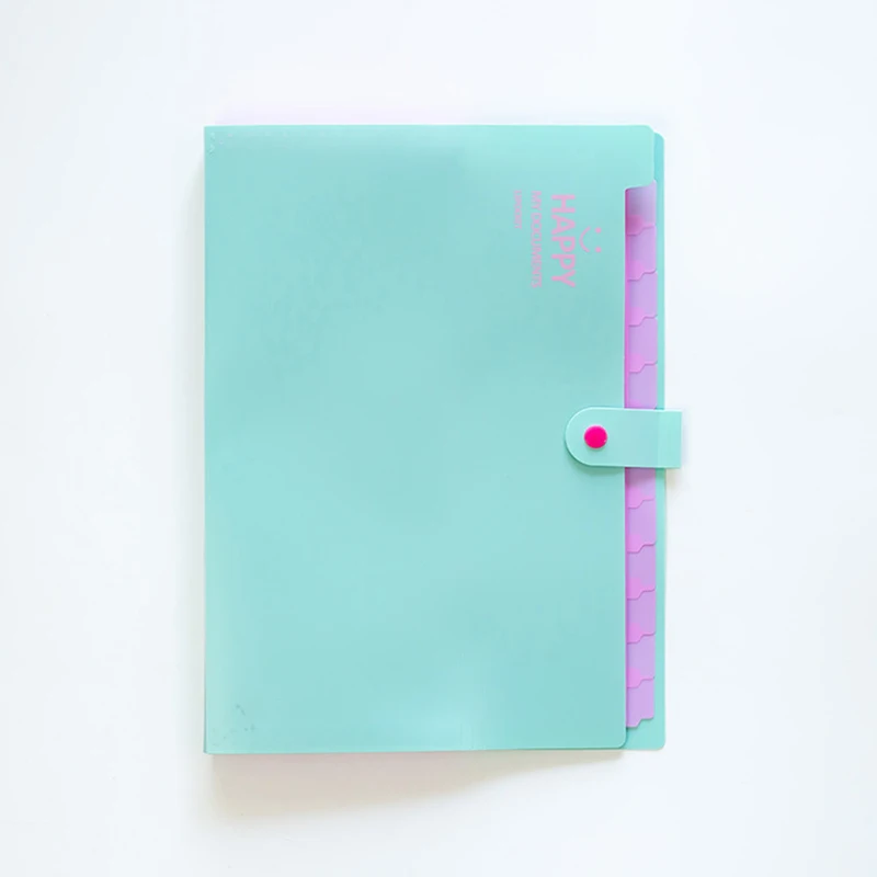 Folder Snap Closure Plastic Accordion Document Organizer File Folder Labels for School and Office File Folders School Supplies
Folder Snap Closure Plastic Accordion Document Organizer File Folder Labels for School and Office File Folders School Supplies
