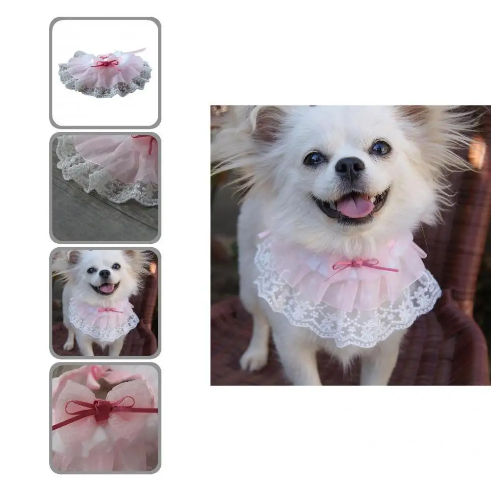 Красивое Ожерелье для собаки слюнявчик товары для домашних животных шейный платок для домашних животных кружевное удобное в носке 
Красивое Ожерелье для собаки слюнявчик товары для домашних животных шейный платок для домашних животных кружевное удобное в носке