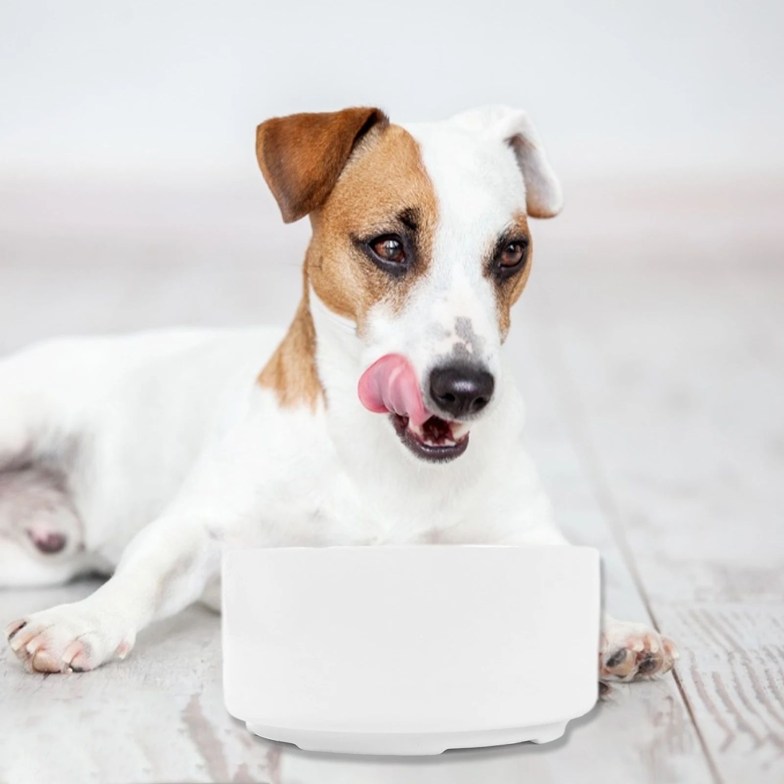 Pet Bowl Automatic Dog Water Drinking Dispenser For Cats Puppy Supplies Feeders Food Plate Products Double Non-slip 2021 New Hot
Pet Bowl Automatic Dog Water Drinking Dispenser For Cats Puppy Supplies Feeders Food Plate Products Double Non-slip 2021 New Hot