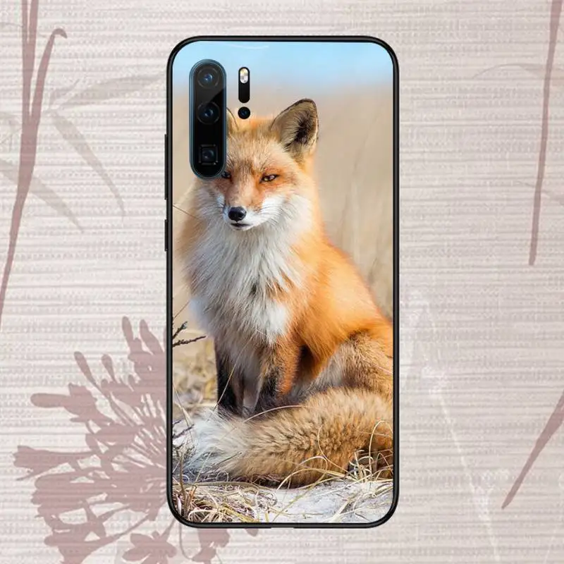 Cute Fox In Autumn Phone Case For Huawei P20 P30 P40 lite Pro P Smart 2019 Mate 10 20 Lite Pro Nova 5t
Cute Fox In Autumn Phone Case For Huawei P20 P30 P40 lite Pro P Smart 2019 Mate 10 20 Lite Pro Nova 5t