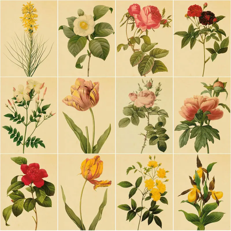 Diy 5D Diamond Embroidery Mosaic Retro Botanical Flower Paintings Full Rhinestone Vintage Plant Picture Wall Art Home Decoration
Diy 5D Diamond Embroidery Mosaic Retro Botanical Flower Paintings Full Rhinestone Vintage Plant Picture Wall Art Home Decoration