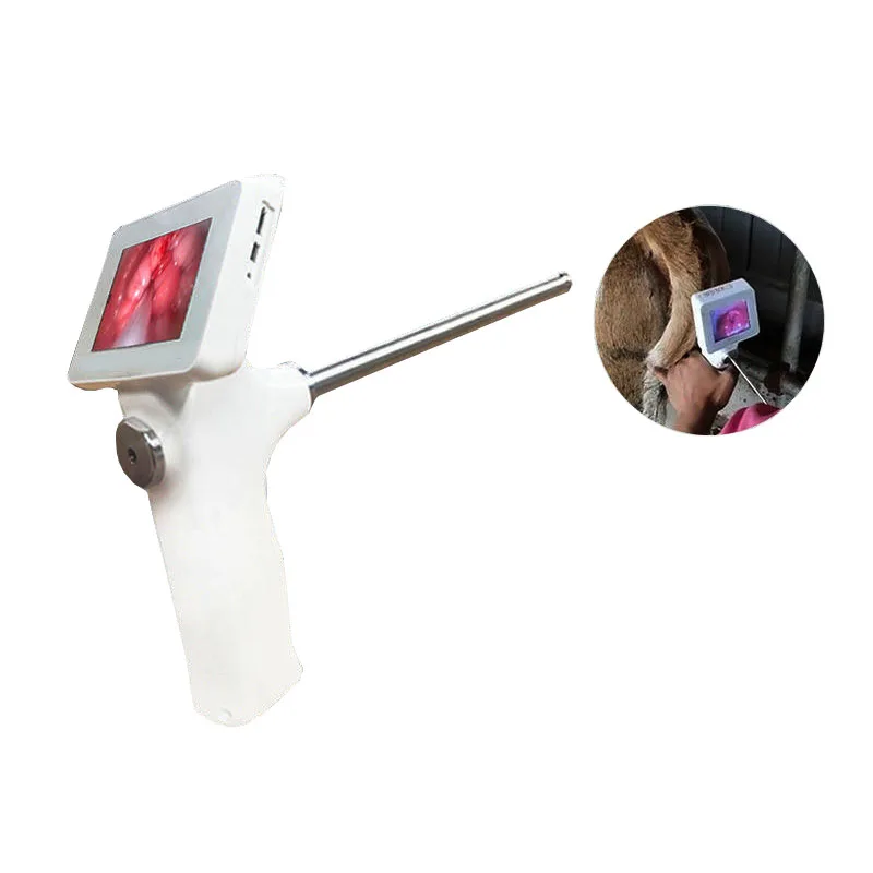 Cow Artificial Insemination Visual Endoscope Sperm AI Gun Tools Deferens Veterinary Breeding Kit Horse Cattle Farm 2021 New
Cow Artificial Insemination Visual Endoscope Sperm AI Gun Tools Deferens Veterinary Breeding Kit Horse Cattle Farm 2021 New