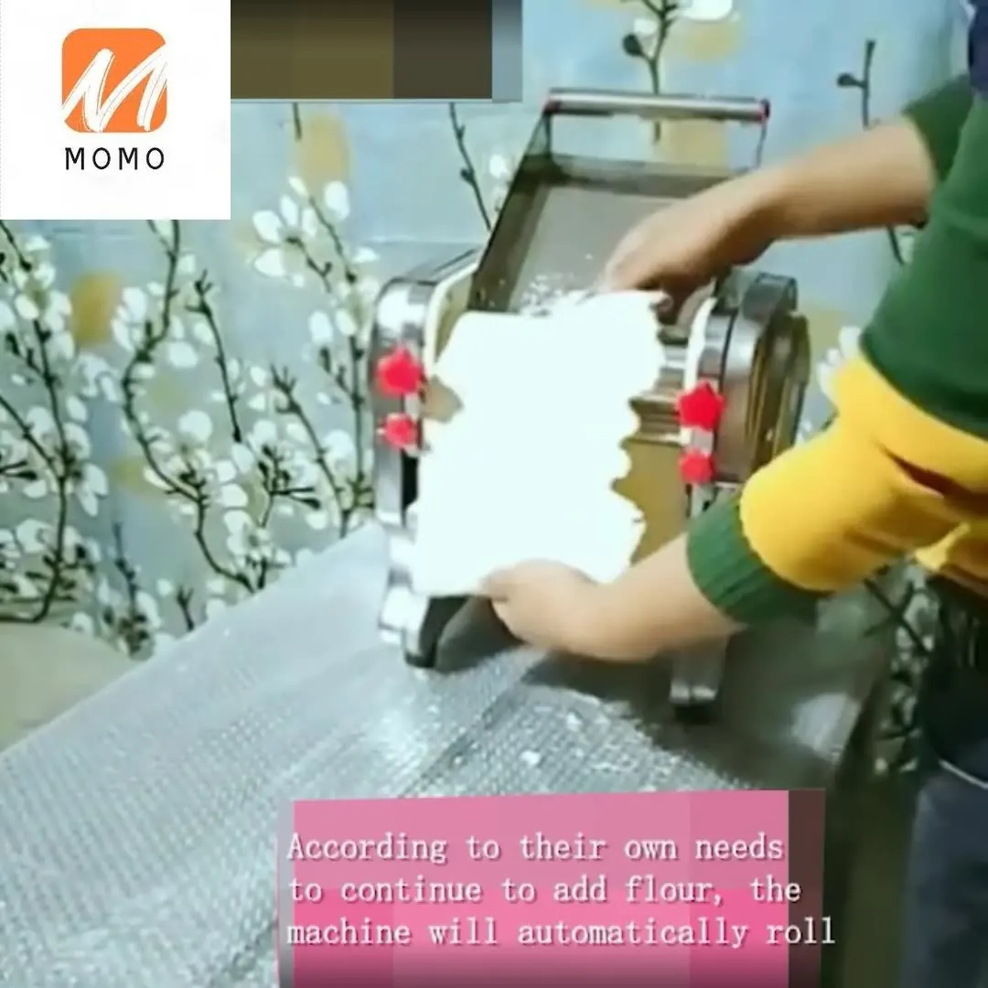 High Quality Making Equipment Noodle Processing Machine Stainless Steel Sliced Noodle Maker
High Quality Making Equipment Noodle Processing Machine Stainless Steel Sliced Noodle Maker