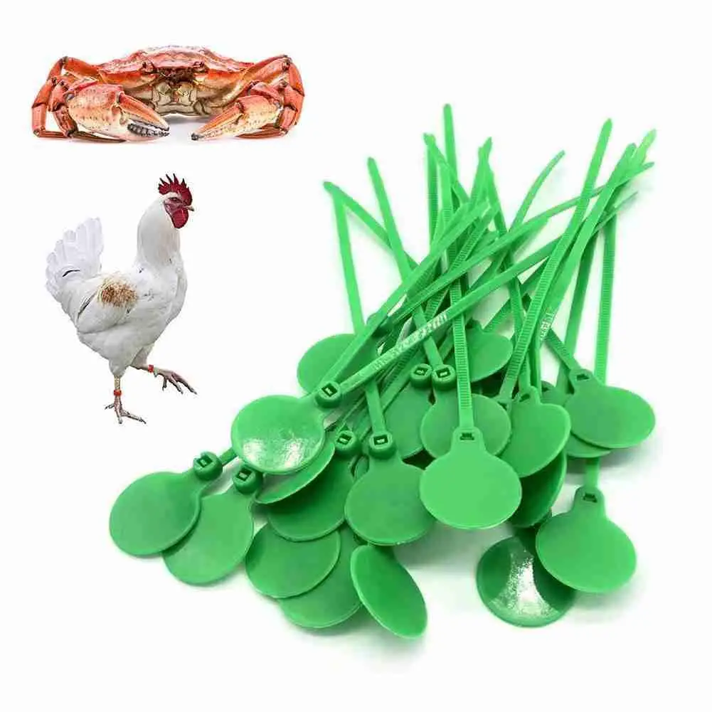 20/50/100 Pcs Chicken Foot Strap Poultry Identity Plate Tie Charm Leg Bands Poultry Species Distinguish Gadget Livestock Signage
20/50/100 Pcs Chicken Foot Strap Poultry Identity Plate Tie Charm Leg Bands Poultry Species Distinguish Gadget Livestock Signage