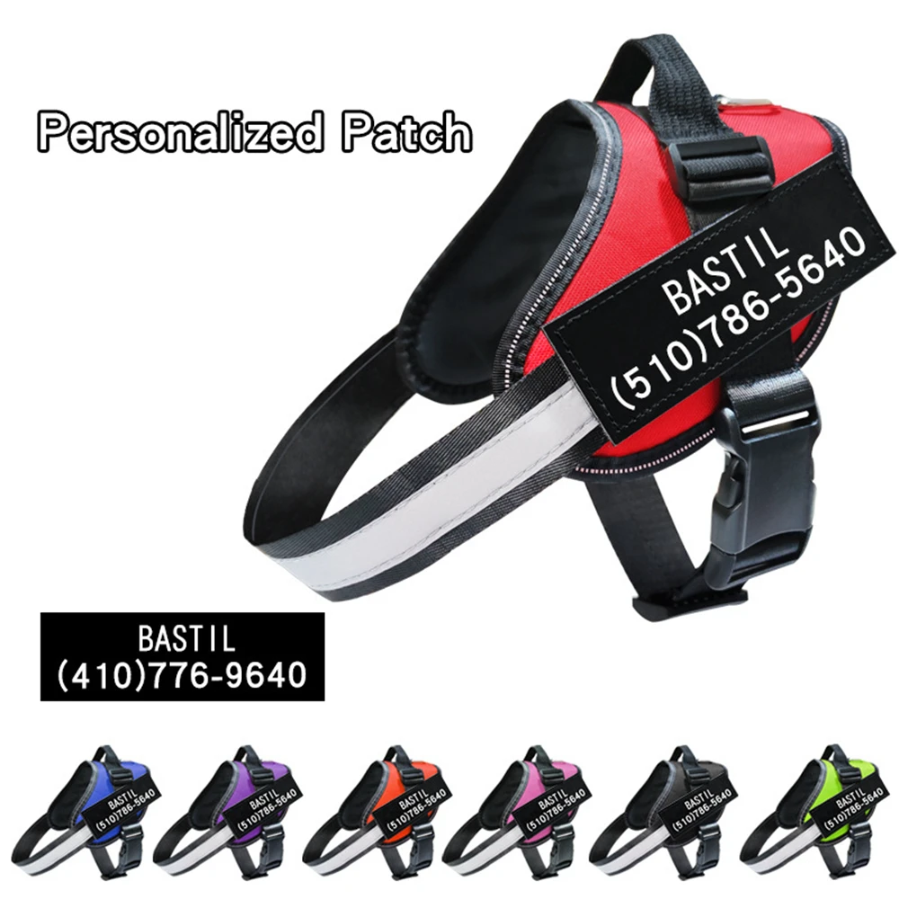 Pet Personalized Dog Chest Harness Reflective Breathable Adjustable Traction Belt Customizable Patch Anti-Lost Pet Safety Rope
Pet Personalized Dog Chest Harness Reflective Breathable Adjustable Traction Belt Customizable Patch Anti-Lost Pet Safety Rope