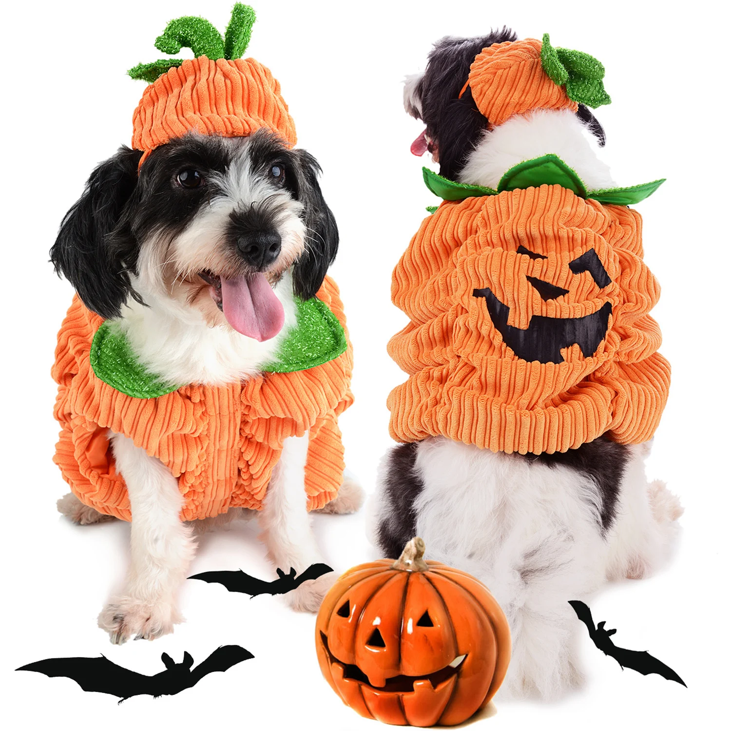 Cute Cartoon Dog Apparel Pumpkin Design Creative Funny Pet Clothing Dog Halloween Costume With Pumpkin Hat For Halloween
Cute Cartoon Dog Apparel Pumpkin Design Creative Funny Pet Clothing Dog Halloween Costume With Pumpkin Hat For Halloween