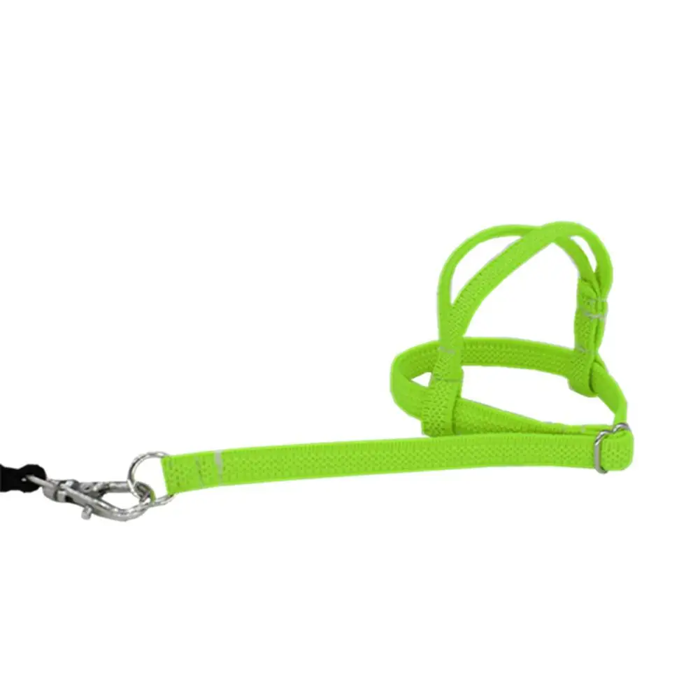 Hot Sale Anti-bite Flying Training Rope Parrot Bird Pet Leash Kits Ultralight Harness Leash Soft Portable Pet Playthings
Hot Sale Anti-bite Flying Training Rope Parrot Bird Pet Leash Kits Ultralight Harness Leash Soft Portable Pet Playthings