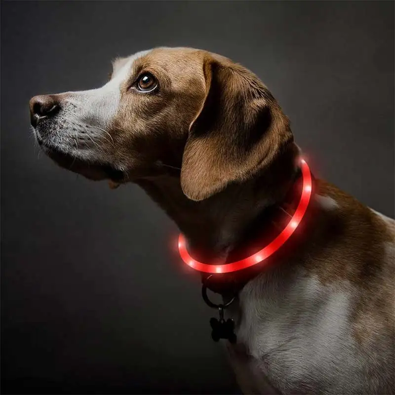 Rechargeable Dog Collar Pet Dog Collar Night Dog Collars Glowing Luminous USB LED Night Safety Flashing Glow
Rechargeable Dog Collar Pet Dog Collar Night Dog Collars Glowing Luminous USB LED Night Safety Flashing Glow