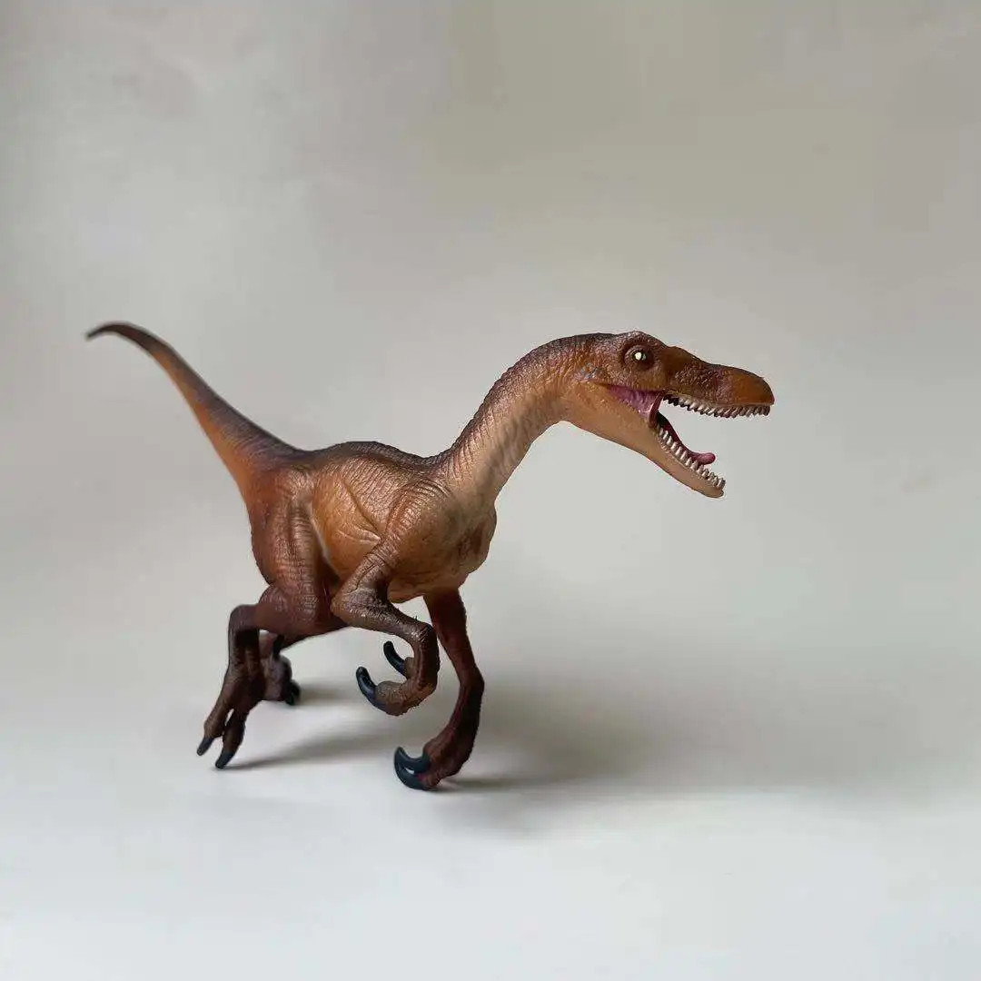 Genuine American Safars Simulation Jurassic Dinosaur Velociraptor Dinosaur Model Toy Decoration Figure Model
Genuine American Safars Simulation Jurassic Dinosaur Velociraptor Dinosaur Model Toy Decoration Figure Model