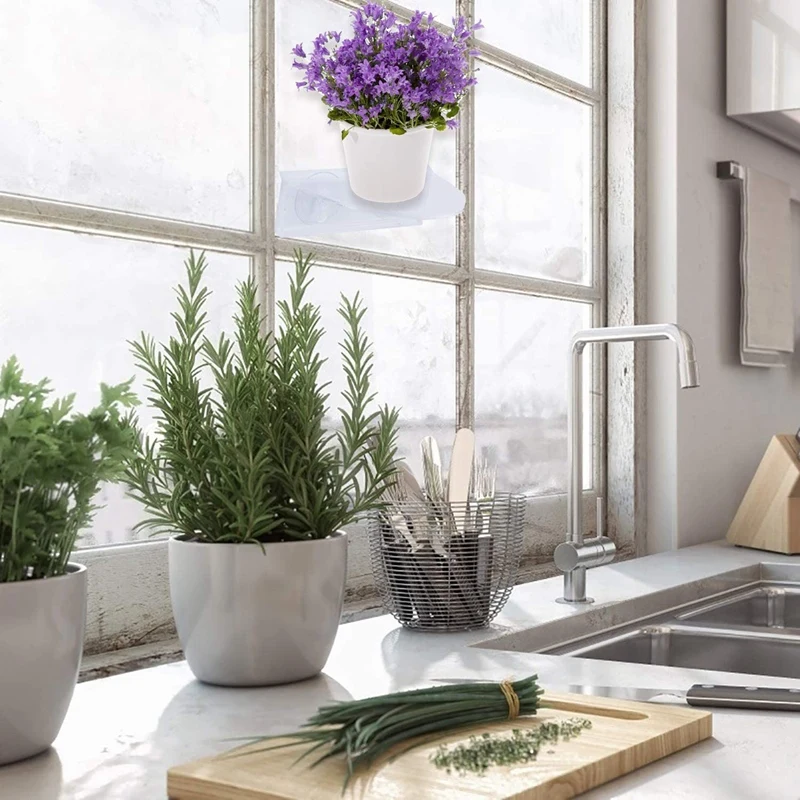 4 Pcak Wall Bracket Suction Cup Glass Window Frame for Indoor Plant Garden Acrylic Window Bracket
4 Pcak Wall Bracket Suction Cup Glass Window Frame for Indoor Plant Garden Acrylic Window Bracket