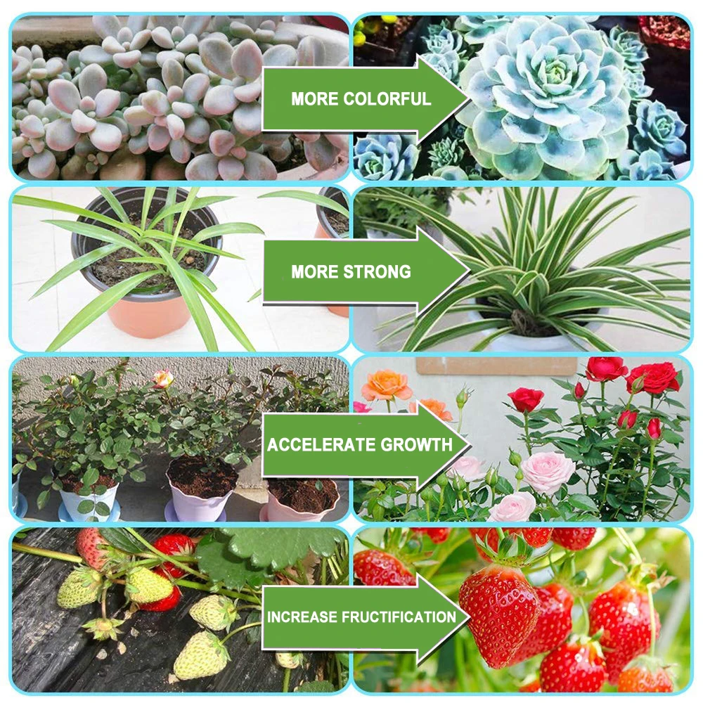 Timer Led Grow Light Phyto Lamp Full Spectrum Lamp For Plants Growing Indoor Flowers Flowering Window Succulents Cactus Growth
Timer Led Grow Light Phyto Lamp Full Spectrum Lamp For Plants Growing Indoor Flowers Flowering Window Succulents Cactus Growth