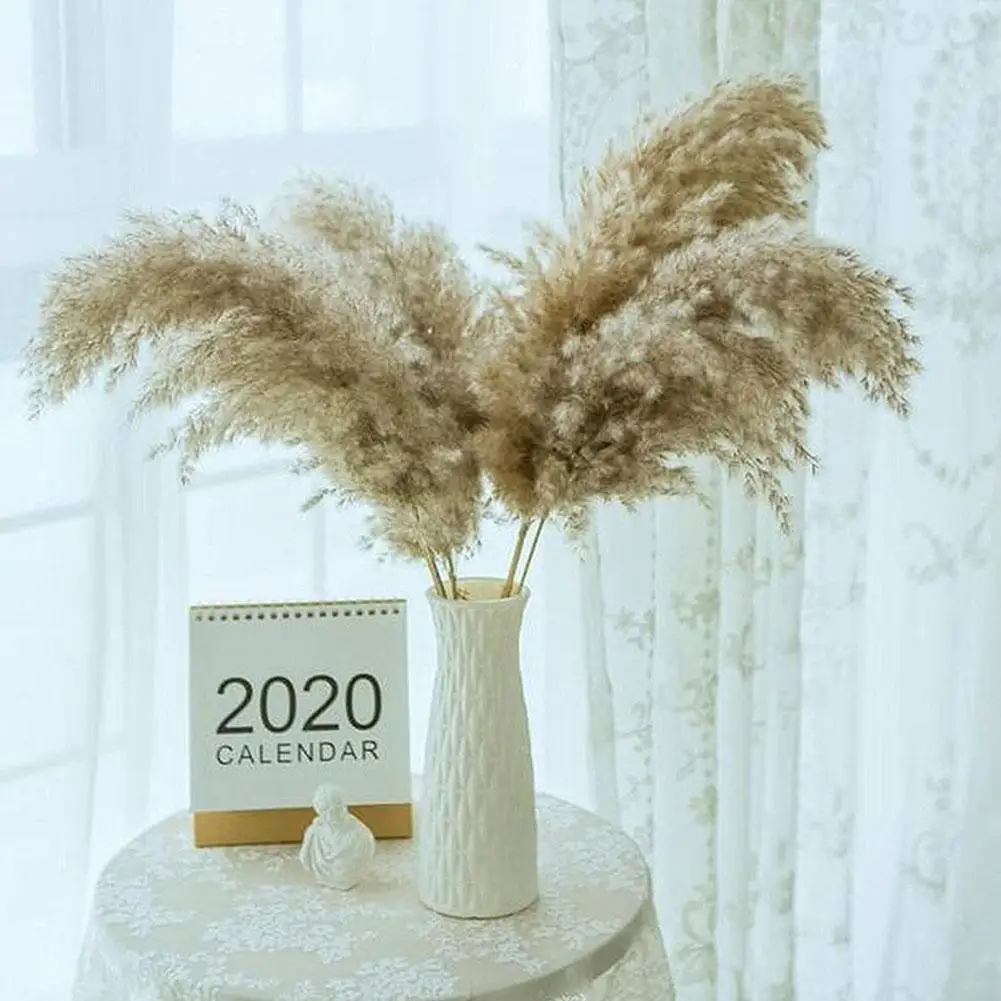 1PC Natural Dryness Reed Grass Bouquet Is a Favorite Flower The Grass Within Wedding Pampas Color Dried Natural Decor Weddi E6K1
1PC Natural Dryness Reed Grass Bouquet Is a Favorite Flower The Grass Within Wedding Pampas Color Dried Natural Decor Weddi E6K1
