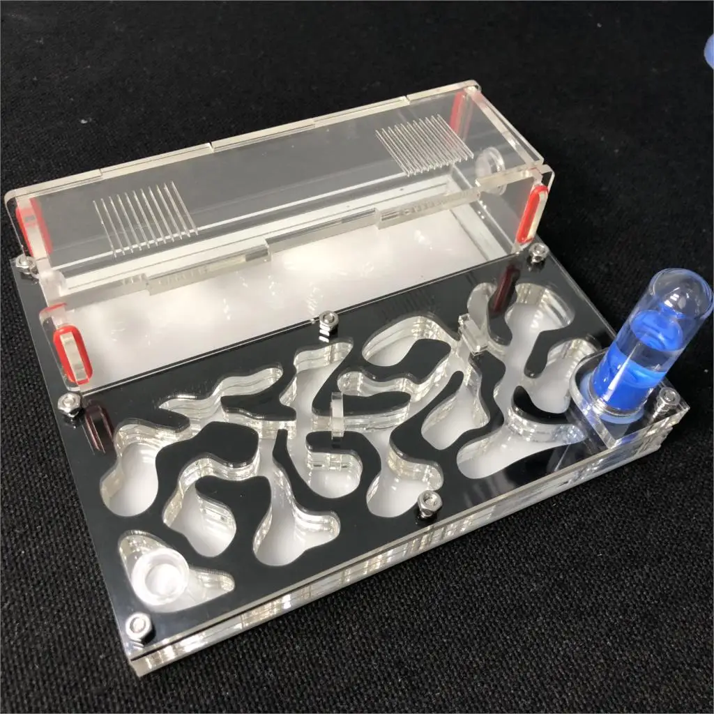 150mmx110mm test tube Moisture big space Ant Nest ,Ant Farm Acrylic, Insect ants Villa House Ants Ecological Workshop
150mmx110mm test tube Moisture big space Ant Nest ,Ant Farm Acrylic, Insect ants Villa House Ants Ecological Workshop