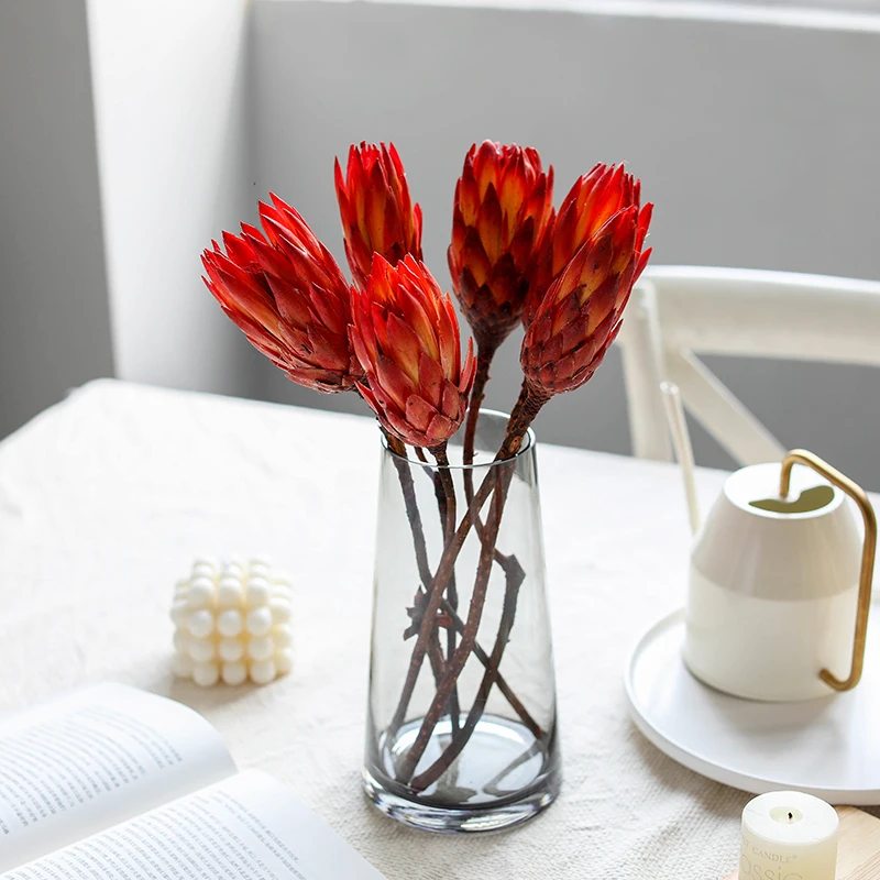 Light luxury Dried Natural Plants Decorative Flowers Snow Lotus For Home Garden Wedding Living Room Easter Party DIY Accessories
Light luxury Dried Natural Plants Decorative Flowers Snow Lotus For Home Garden Wedding Living Room Easter Party DIY Accessories
