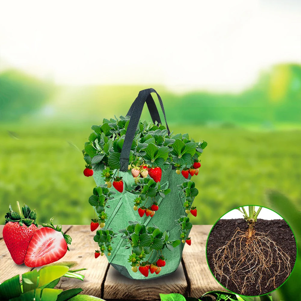Plant Grow Bags Flower Gardening DIY Planter PE Fabrics Eco-Friendly Thicken Bag Vegetable Pot for Greenhouse Garden Tools
Plant Grow Bags Flower Gardening DIY Planter PE Fabrics Eco-Friendly Thicken Bag Vegetable Pot for Greenhouse Garden Tools