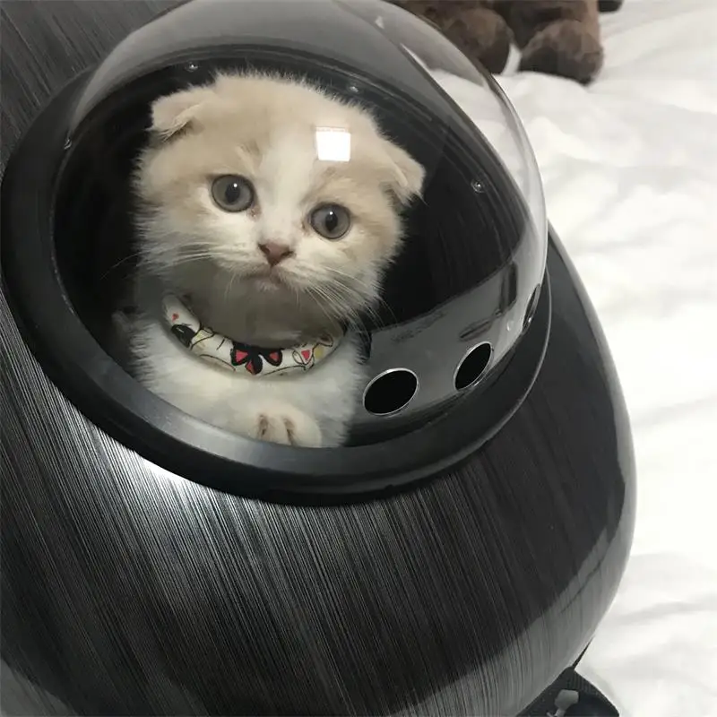 Breathable Pet Backpack To Go Out Carrying Cabin Dog Cat Cage School Bag Cat Backpack Cat Bag Space Bag Dog Bag
Breathable Pet Backpack To Go Out Carrying Cabin Dog Cat Cage School Bag Cat Backpack Cat Bag Space Bag Dog Bag