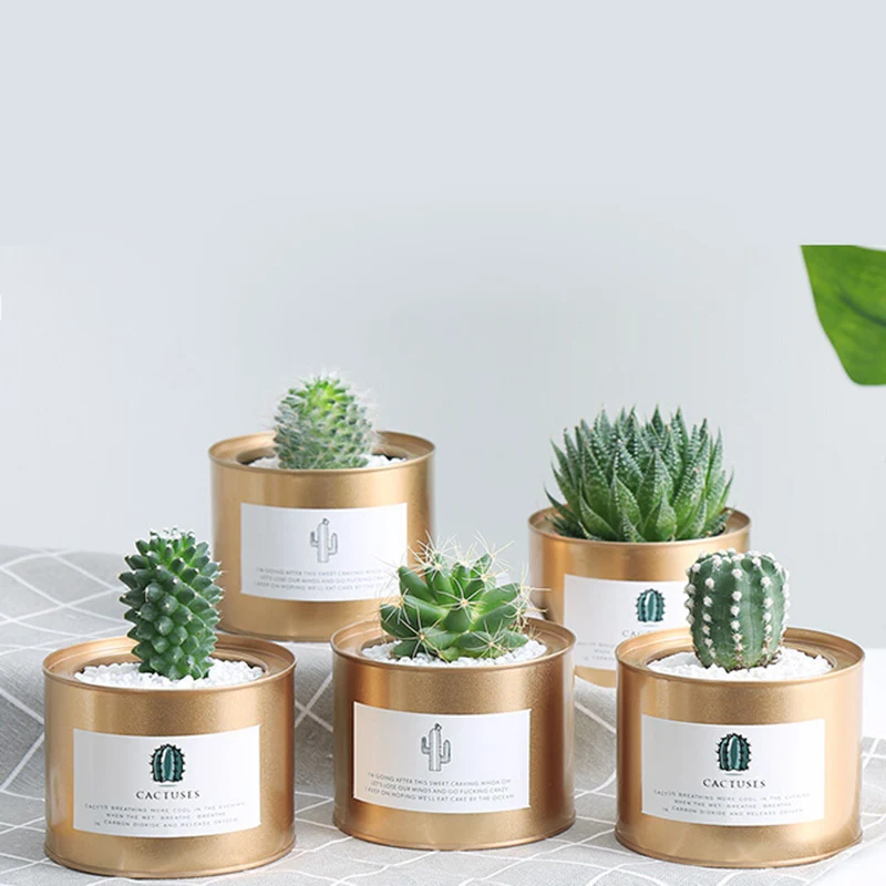 2018 INS Creative Metal Potted Flower Pot Flower Garden Retro Pastoral Style Painting Iron Storage Container Desktop Decoration
2018 INS Creative Metal Potted Flower Pot Flower Garden Retro Pastoral Style Painting Iron Storage Container Desktop Decoration