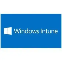 Корпоративные приложения microsoft (3LN 00007) Winintuneopen Shrdsvr Susanual Qlfd|Софтбоксы| |