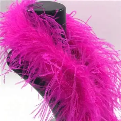 Fashion 2 meters High quality 1ply Thick Ostrich feather boas Hot Pink Dyed Ostrich Strip Wedding Party Dance Show Decoration
Fashion 2 meters High quality 1ply Thick Ostrich feather boas Hot Pink Dyed Ostrich Strip Wedding Party Dance Show Decoration