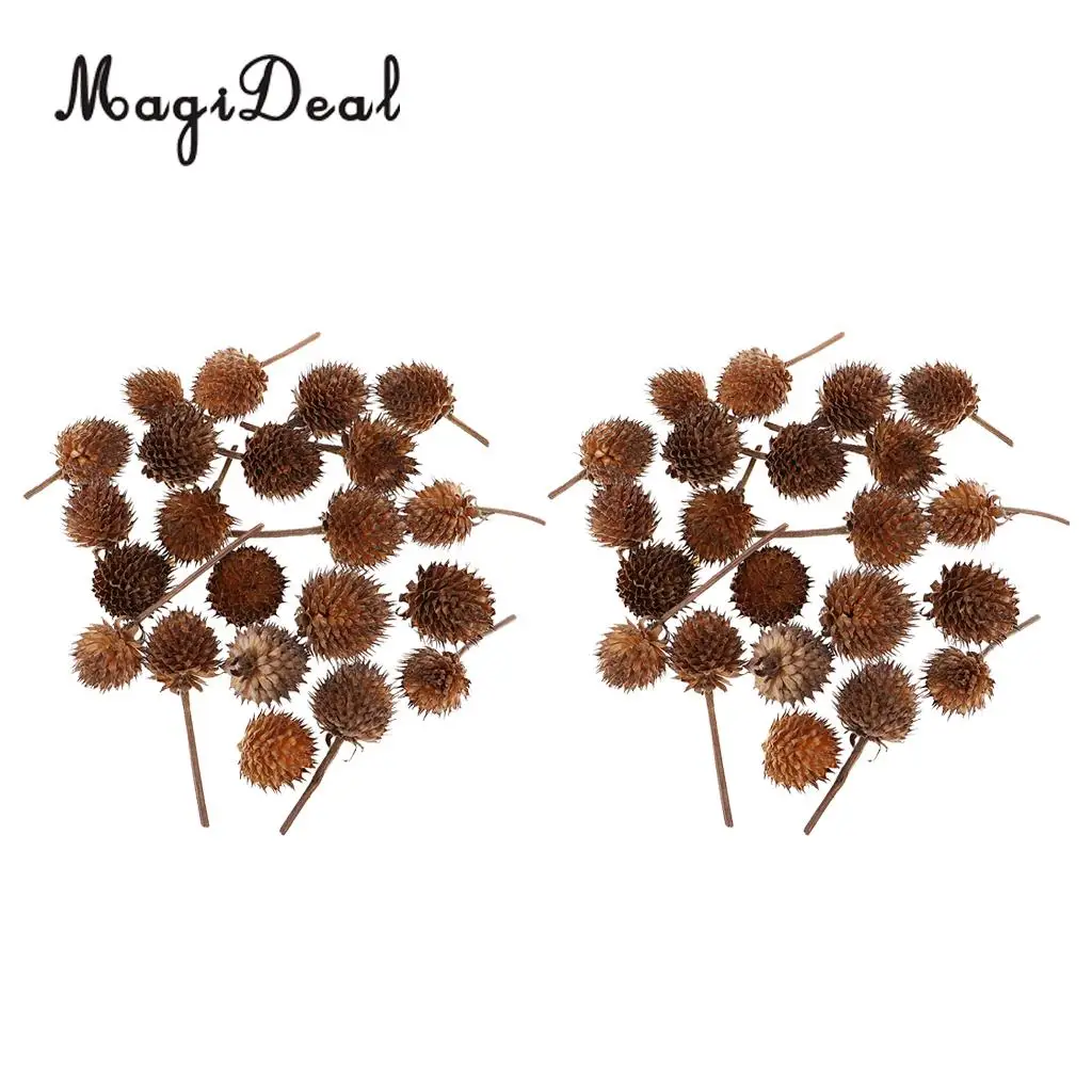 100x Rustic Country Natural Dried Flowers Fruits Home Accents For Wedding Indoor Outdoor Event Party Decorations Table Ornaments
100x Rustic Country Natural Dried Flowers Fruits Home Accents For Wedding Indoor Outdoor Event Party Decorations Table Ornaments