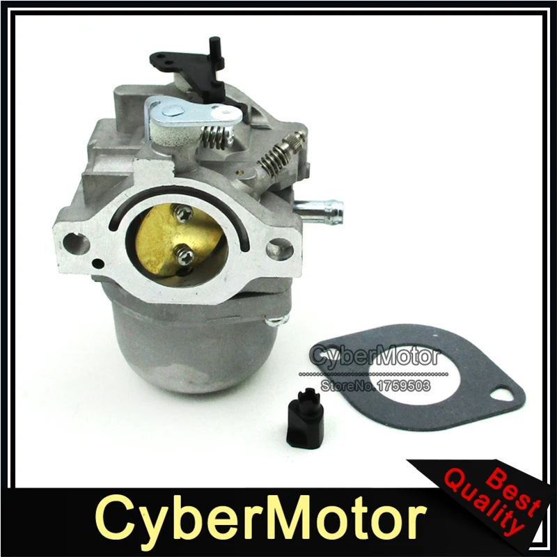 Carburetor For Briggs & Stratton 799728 Replace Carb 498231 499161 498027 498027 495706 494502 494392 498134 499161
Carburetor For Briggs & Stratton 799728 Replace Carb 498231 499161 498027 498027 495706 494502 494392 498134 499161