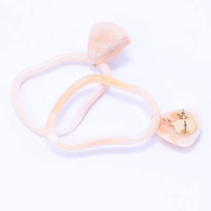 WEALTHYBOO New ZA Women's Resin Pendant Earrings Beige Geometric Irregular Big Gifts Fashion Jewelry | Украшения и аксессуары