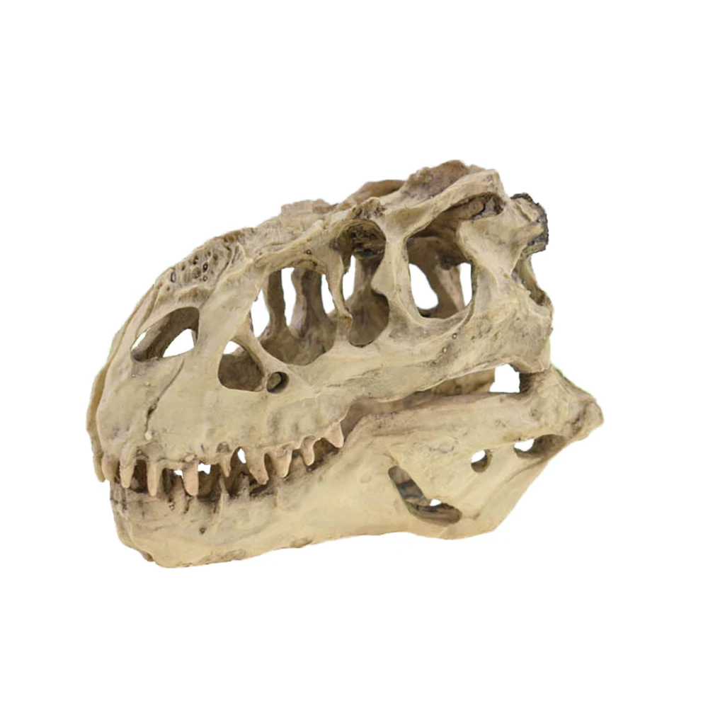 Fish Tank Resin Dinosaur Skull Model Decorations Tyrannosaurus Rex Skull Cave Landscaping Decoration Home Decor
Fish Tank Resin Dinosaur Skull Model Decorations Tyrannosaurus Rex Skull Cave Landscaping Decoration Home Decor