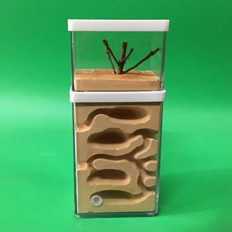 Ant Farm with feeding area Pc Ants Castle Pet Cages insect house Workshop Insect Landscaping Housing workshop CW127
Ant Farm with feeding area Pc Ants Castle Pet Cages insect house Workshop Insect Landscaping Housing workshop CW127