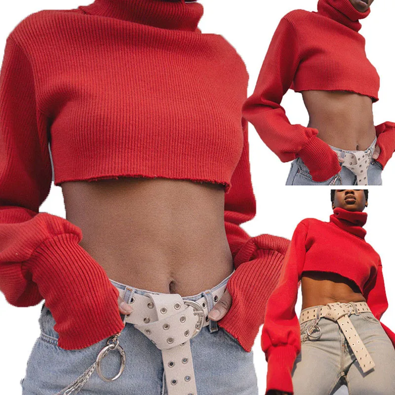 Sexy Women High Neck Knitted Pullover Sweater Crop Tops Loose Sweater Knitwear Tank Top
Sexy Women High Neck Knitted Pullover Sweater Crop Tops Loose Sweater Knitwear Tank Top