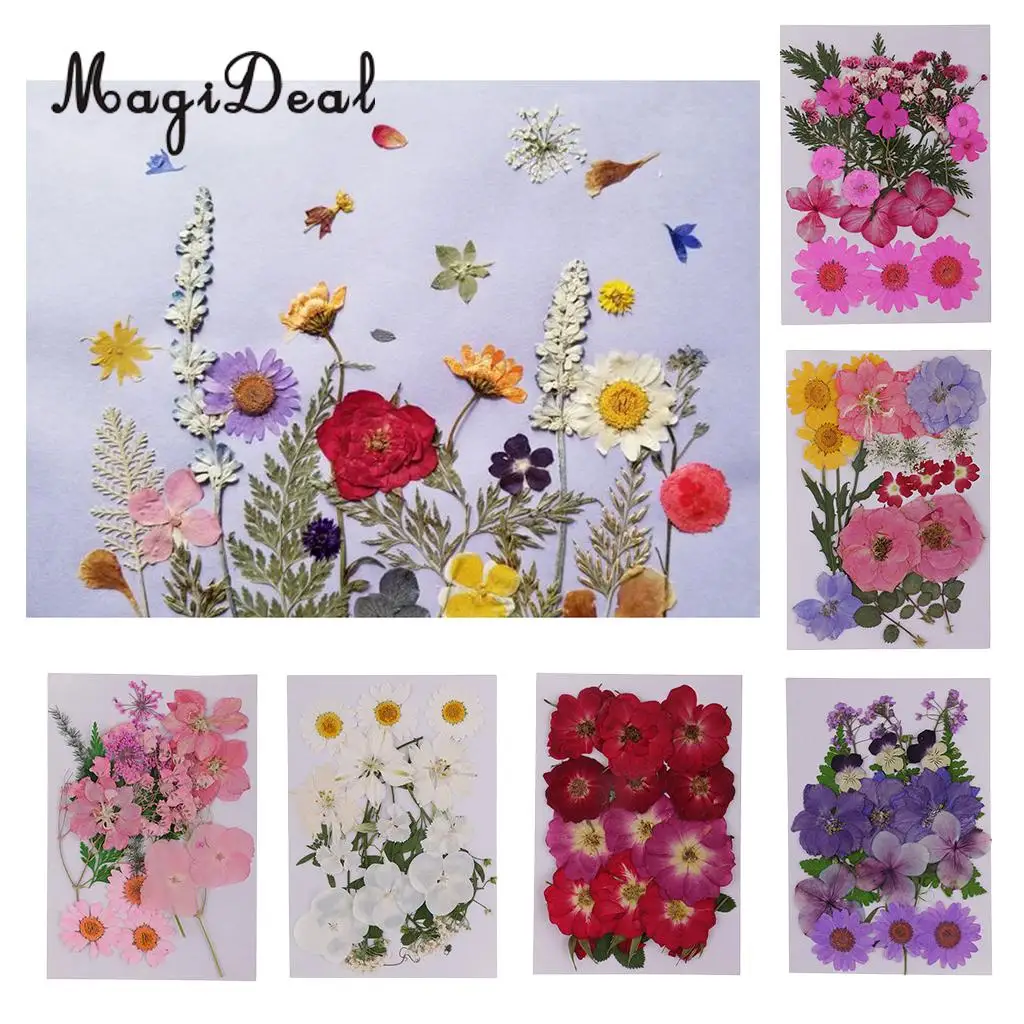 Variety Kinds of Beautiful Real Pressed Flower Leaves Dried Flowers for Art Craft Scrapbooking Resin Jewelry Bookmark Phone Case
Variety Kinds of Beautiful Real Pressed Flower Leaves Dried Flowers for Art Craft Scrapbooking Resin Jewelry Bookmark Phone Case