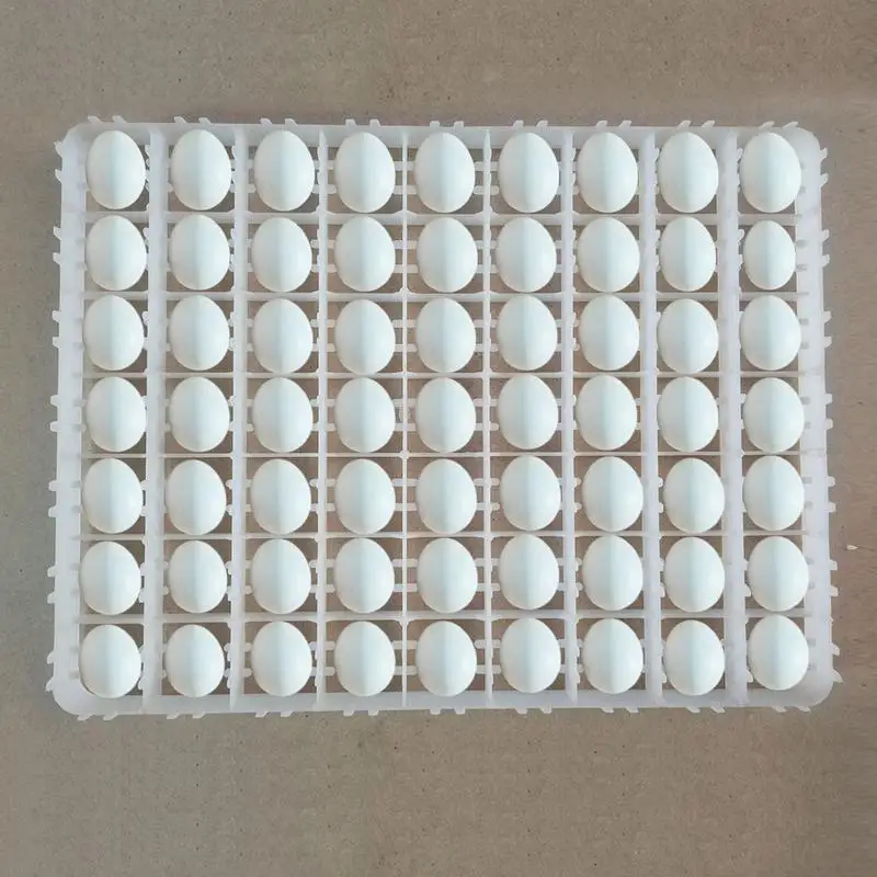 Incubator Egg Tray Special Automatic Hatching Machine High Temperature Resistance Three Specifications Multi Purpose Eggs Dish
Incubator Egg Tray Special Automatic Hatching Machine High Temperature Resistance Three Specifications Multi Purpose Eggs Dish