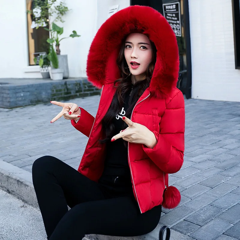 2018 Winter New Pattern Down Cotton Woman Short Fund Cotton-padded Clothes Heavy Seta Lead Korean Keep Warm Cotton
2018 Winter New Pattern Down Cotton Woman Short Fund Cotton-padded Clothes Heavy Seta Lead Korean Keep Warm Cotton