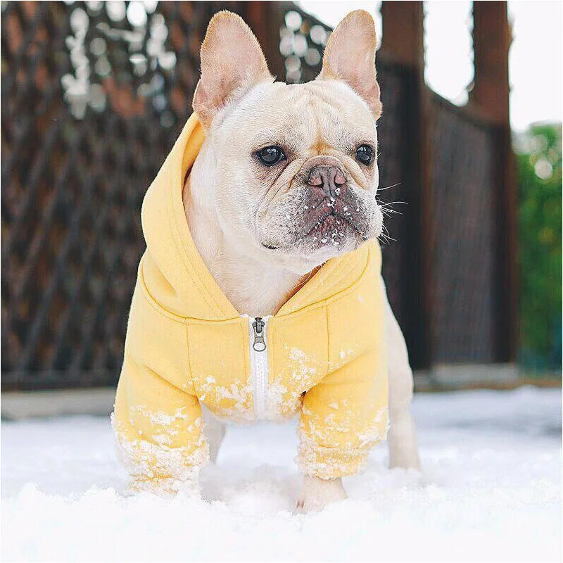 French Bulldog Hoodies Pet Dog Clothes for Small Dogs Clothing Chihuahua Warm Jacket Puppy Coat Dog Accessories for Yorkies
French Bulldog Hoodies Pet Dog Clothes for Small Dogs Clothing Chihuahua Warm Jacket Puppy Coat Dog Accessories for Yorkies
