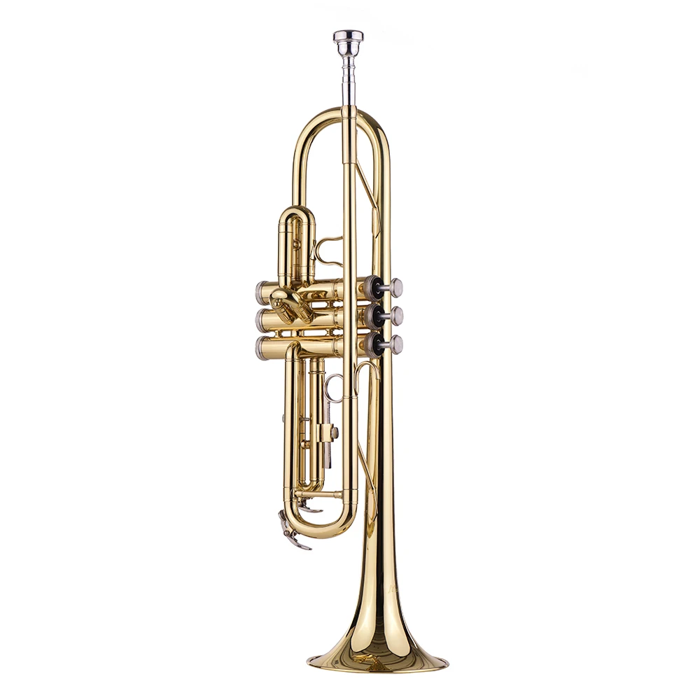 Muslady Standard Bb Brass Trumpet Wind Instrument with Mouthpiece Carry Bag Gloves Cleaning Cloth Tuner
Muslady Standard Bb Brass Trumpet Wind Instrument with Mouthpiece Carry Bag Gloves Cleaning Cloth Tuner